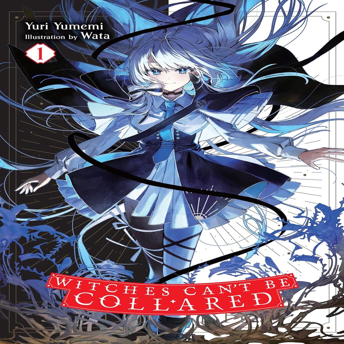 Witches Can't Be Collared Light Novel Volume 1