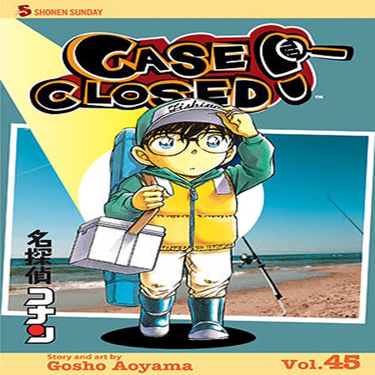 Case Closed Volume 45